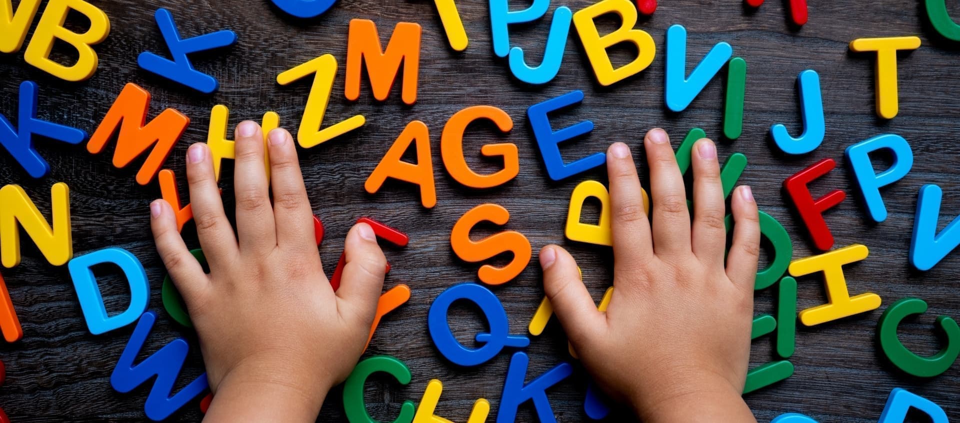 毎日の学習習慣が大事